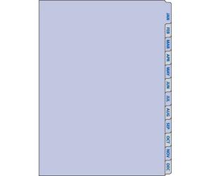 Collins Desk January-December Year Diary Refill Insert Tabs DK1010