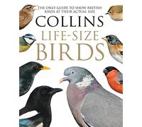 Collins Life-sized Birds