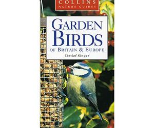 Collins Pocket Guide To Garden Birds