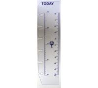 Collins Pocket Size Organiser Clear Ruler/Today Page Marker (Pack of 2)