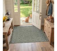 Collive 3' x 5' Indoor Outdoor Porch Rug, Sage Green Modern Entryway Rug