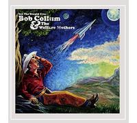 Collum, Bob - Set The Stupid Free