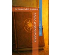 coloc à sentiments: tome 2 le carnet des aurores