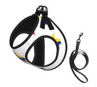 Colombia Flag Map Print Small Dog Harness with Leash Set, No Escape Easy Walk Puppy Harnesses for Training Walking