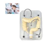 Colon Colonoscopy Training Model, Soft Simulation Colonoscopy Training Model, 1:1 Human Colon Model, Suitable for Nursing Medical Training Practice