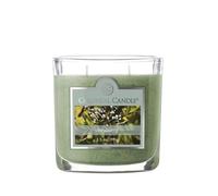 Colonial Candle Scented Jar Candle, Bayberry – 2-Wick, 3.5 oz