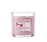Colonial Candle Pink Cherry Blossom Scented Jar Candle, 2 Wick, 3.5 oz, Mottled Wax Candle