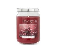 Colony Festive Spice Large Candle | Warming Cinnamon Scent | Perfect for Cosy Nights | Long Burning | Up to 100 Hours