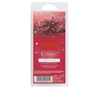 Colony Festive Spice Wax Melts | Warming Cinnamon Scent | Creates a comforting Atmosphere | 55g
