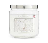 Colony Perfect Day Medium Candle, 75hrs