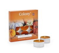 Colony Pumpkin Spice Tealights