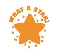 Colop Colop Self Inking Motivational Stamp Orange What A Star