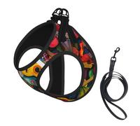 Color Acoustic and Guitars print Dog Harness and Leash Set, Reflective Adjustable Puppy Vest for Small Medium Large Dogs, Cats