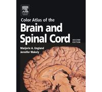 Color Atlas of the Brain and Spinal Cord: An Introduction to Normal Neuroanatomy