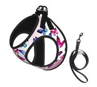 Color Butterfly Printing Dog Summer Harness With Leash Set,Adjustable And Reflective Step-In Puppy Pet Vest Harnesses