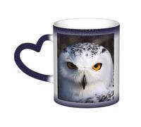 Color Changing Mug In The Sky Ceramic Coffee Mug 13 oz Heat Sensitive Drinking Cup Birthday Gift for Women Men Magic Tea Cup Snowy Owl Eyes Porcelain Mugs Unique Gift
