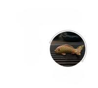 Color Changing Tea Pet Koi Carp Figurines - Resin Chinese Zen Tea Ornaments, Two Fish Mascot for Happiness, Decorative Tea Ceremony Accessories, Home & Desk Décor (2CPS)