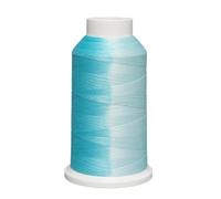 Color Changing Thermal Yarn - Heat Reactive Polyester Yarn for Crochet Knitting Craft Textile Clothing Toys Embroidery Projects 150D/2 | Size 6x6x10cm 100g, a