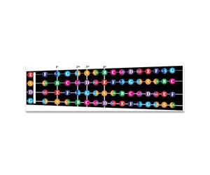 Color Coded Violin Fretboard Note Chart, Learn to Play Violin and Music Theory, Suitable for all Levels, Made in USA