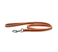 Color & Gray Super-Grip Leash with Handle, 20 mm x 2 m, Orange-Gray