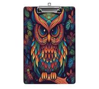Color Owl Pattern Clipboard Colorful Sturdy Acrylic Clipboard Decorative Clip Board with Metal Clip Cute Plastic Clipboards A4 for Nurses Office（Standard Size 8.5" X 12.5"）
