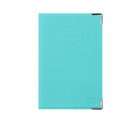 Color Pop Car Document Holder - Made in France - PVC - French Papers - Grey Card Case - Driving Licence - 13.8 x 9 cm, Vertdeau, 13,8 x 9 x 0,5 cm, Classic