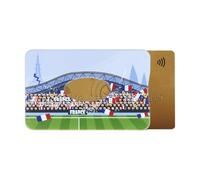 Color Pop Rigid RFID Blocking Card Holder - Made in France - Football Collection - PVC - Credit Card Protection - 6 x 9.2 cm, Stadium, 6 x 9,1 x 0,4 cm, Classic