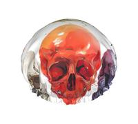 Color Skulls Shower Caps Women Reusable Large Shower Cap Men Quickdry Care Hair Long Short Kids Bath