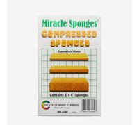 Color Wheel Company : Miracle Sponge : 3x4in