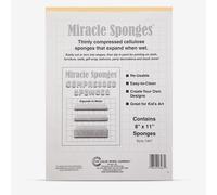 Color Wheel Company : Miracle Sponge : 8x11in