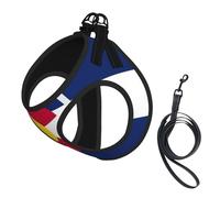 Colorado flag print Dog Harness, 2X Buckle,Dog Vest,No Pulling Front Leash Clip,for Small Medium Dogs