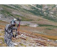 Colorado Public Land Mule Deer