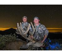 Colorado Public Land Mule Deer