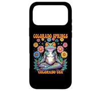 Colorado Springs Colorado USA Whimsical Frog Zen Design Case for iPhone 17 Pro Max
