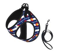 Colorado State Flag Print Step in Dog Harness and Leash Set,Adjustable Reflective Harness for Small Dogs Cats
