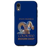 Colorado Territory Mammal The Bighorn Sheep Case for iPhone XR