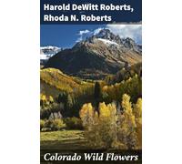 Colorado Wild Flowers