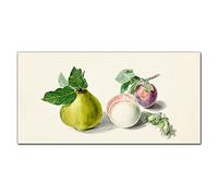 Coloray Splashback 39.37 x 19.68 inch / 100x50cm Cooker Protector Kitchen Glass Art Wall Picture Tempered Glass Kitchen Protection Glass Print - Fruit Branch Leaves