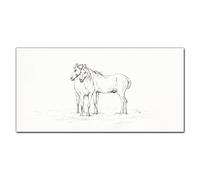Coloray Splashback 39.37 x 19.68 inch / 100x50cm Cooker Protector Kitchen Glass Art Wall Picture Tempered Glass Kitchen Protection Glass Print - Animals Horses