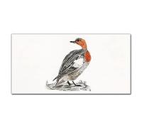 Coloray Splashback 39.37 x 19.68 inch / 100x50cm Glass Art Wall Picture Kitchen Glass Print Tempered Glass Cooker Protector Kitchen Protection - Animal Bird Duck