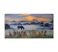 Coloray Splashback 39.37 x 19.68 inch / 100x50cm Glass Art Wall Picture Kitchen Glass Print Tempered Glass Cooker Protector Kitchen Protection - Pet Prairie Sunset