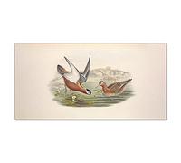 Coloray Splashback 39.37 x 19.68 inch / 100x50cm Kitchen Protection Glass Art Wall Picture Cooker Protector Kitchen Tempered Glass Glass Print - Birds Animals