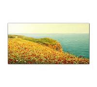 Coloray Splashback 47.24 x 23.62 inch / 120x60cm Glass Art Wall Picture Kitchen Glass Print Tempered Glass Cooker Protector Kitchen Protection - Flowers Coast Sea Cliff