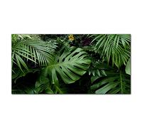 Coloray Splashback 47.24 x 23.62 inch / 120x60cm Glass Art Wall Picture Kitchen Protection Glass Print Cooker Protector Kitchen Tempered Glass - Tropical Jungle Leaves