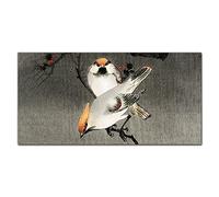Coloray Splashback 47.24 x 23.62 inch / 120x60cm Glass Print Tempered Glass Kitchen Cooker Protector Glass Art Wall Picture Kitchen Protection - Asia Branch Animals Birds