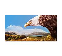 Coloray Splashback 55.12 x 27.56 inch / 140x70cm Glass Art Wall Picture Kitchen Glass Print Tempered Glass Cooker Protector Kitchen Protection - Animal Bird Eagle Sky