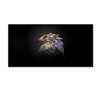 Coloray Splashback 55.12 x 27.56 inch / 140x70cm Glass Print Tempered Glass Kitchen Cooker Protector Glass Art Wall Picture Kitchen Protection - Eagle Bird