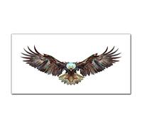 Coloray Splashback 55.12 x 27.56 inch / 140x70cm Kitchen Protection Glass Art Wall Picture Cooker Protector Kitchen Tempered Glass Glass Print - Animal Bird Eagle