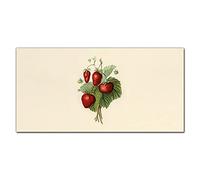 Coloray Splashback 55.12 x 27.56 inch / 140x70cm Kitchen Protection Glass Art Wall Picture Cooker Protector Kitchen Tempered Glass Glass Print - Fruit Strawberry Leaves