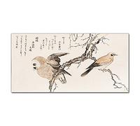 Coloray Splashback Kitchen 39.37 x 19.68 inch / 100x50cm Glass Print Glass Art Wall Picture Tempered Glass Cooker Protector Kitchen Protection - Asia Decor Branches Animals Birds